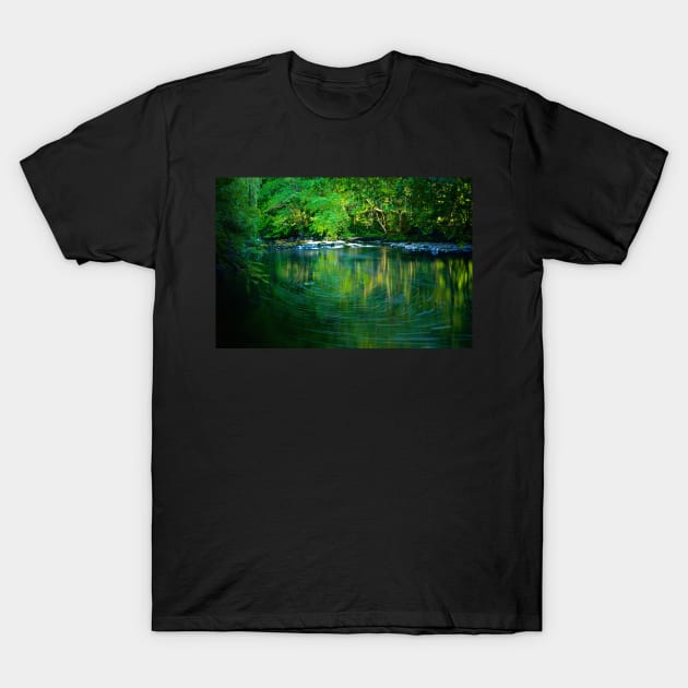 THE GREEN WHIRLPOOL T-Shirt by dumbodancer